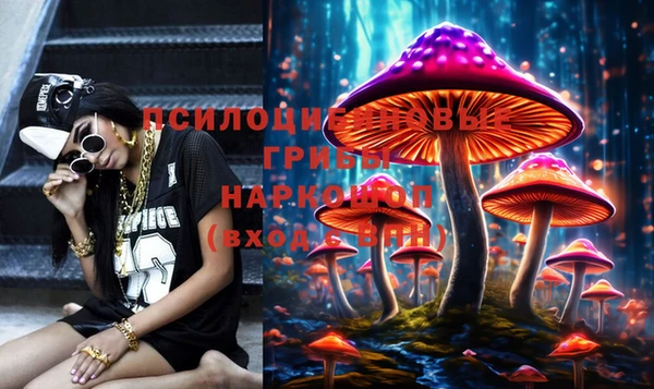 мяу мяу мука Покачи